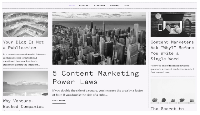 animalz - best marketing blogs